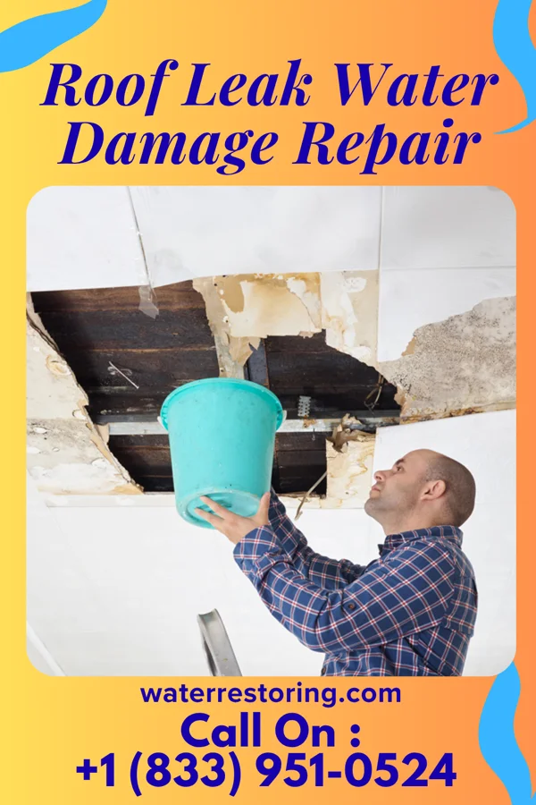Roof Leak Water Damage Repair in Walls, MS