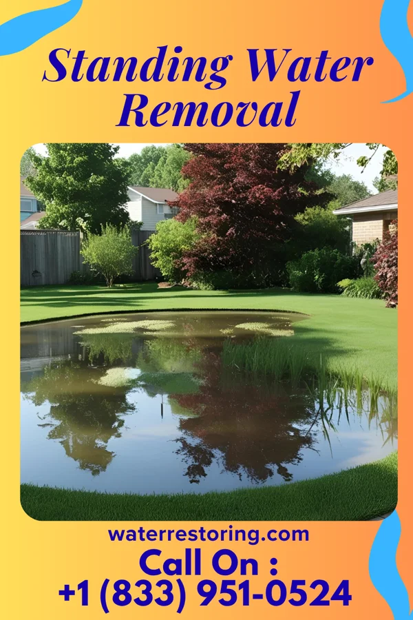 Standing Water Removal in Walls, MS